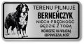 Tabliczka ostrzegawcza - Uwaga pies BERNEŃSKI PIES PASTERSKI berneńczyk