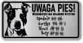 Tabliczka ostrzegawcza - Uwaga pies AMSTAFF śmieszna