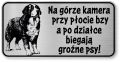 Tabliczka ostrzegawcza Uwaga Berneński Pies Pasterski Berneńczyk śmieszna