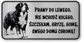 Tabliczka ostrzegawcza Uwaga Berneński Pies Pasterski Berneńczyk śmieszna