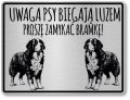 Tabliczka ostrzegawcza - Uwaga pies BERNEŃSKI PIES PASTERSKI berneńczyk