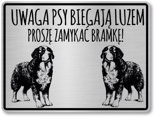 Tabliczka ostrzegawcza - Uwaga pies BERNEŃSKI PIES PASTERSKI berneńczyk