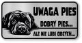 Tabliczka ostrzegawcza - Uwaga pies Cane Corso