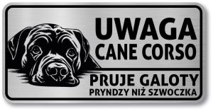 Tabliczka ostrzegawcza - Uwaga pies Cane Corso po śląsku