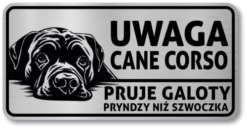 Tabliczka ostrzegawcza - Uwaga pies Cane Corso po śląsku