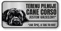 Tabliczka ostrzegawcza - Uwaga pies Cane Corso śmieszna