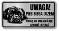 Tabliczka ostrzegawcza - Uwaga pies Cane Corso