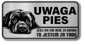 Tabliczka ostrzegawcza - Uwaga pies Cane Corso