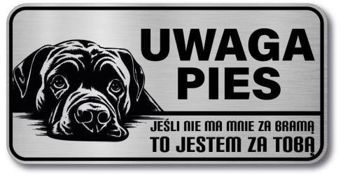 Tabliczka ostrzegawcza - Uwaga pies Cane Corso