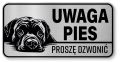 Tabliczka ostrzegawcza - Uwaga pies Cane Corso