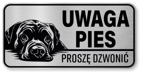 Tabliczka ostrzegawcza - Uwaga pies Cane Corso