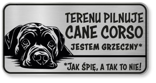 Tabliczka ostrzegawcza - Uwaga pies Cane Corso śmieszna
