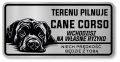 Tabliczka ostrzegawcza - Uwaga pies Cane Corso