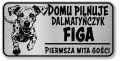 Tabliczka ostrzegawcza - Uwaga pies Dalmatyńczyk z imieniem