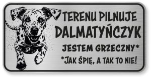 Tabliczka ostrzegawcza - Uwaga pies Dalmatyńczyk śmieszna