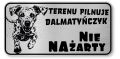 Tabliczka ostrzegawcza - Uwaga pies Dalmatyńczyk śmieszna
