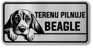 Uwaga pies tabliczka 20x10 Beagle