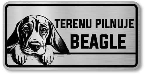 Uwaga pies tabliczka 20x10 Beagle