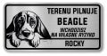Uwaga pies tabliczka 20x10 Beagle