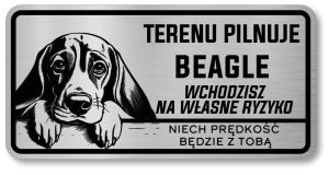 Uwaga pies tabliczka 20x10 Beagle