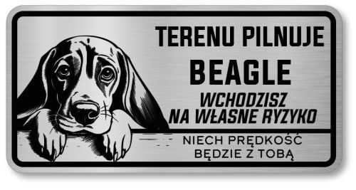 Uwaga pies tabliczka 20x10 Beagle