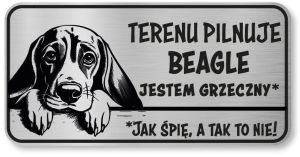Uwaga pies tabliczka 20x10 Beagle