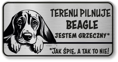 Uwaga pies tabliczka 20x10 Beagle