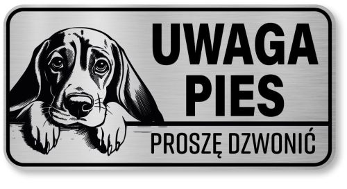 Uwaga pies tabliczka 20x10 Beagle