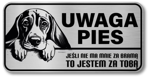 Uwaga pies tabliczka 20x10 Beagle