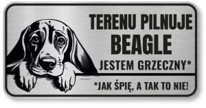 Uwaga pies tabliczka 20x10 Beagle