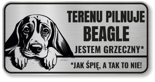 Uwaga pies tabliczka 20x10 Beagle