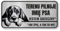 Uwaga pies tabliczka 20x10 Beagle z imieniem psa