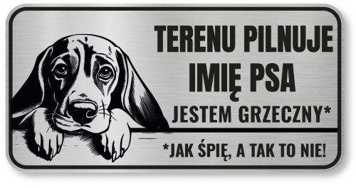 Uwaga pies tabliczka 20x10 Beagle z imieniem psa