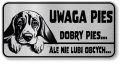 Uwaga pies tabliczka 20x10 Beagle z imieniem psa
