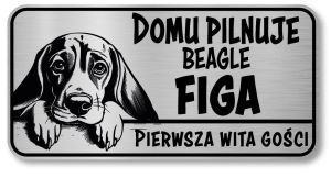 Uwaga pies tabliczka 20x10 Beagle z imieniem psa