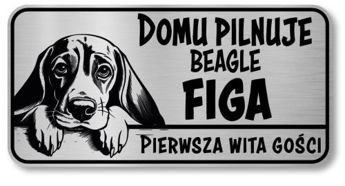 Uwaga pies tabliczka 20x10 Beagle z imieniem psa