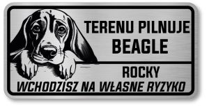 Uwaga pies tabliczka 20x10 Beagle z imieniem psa