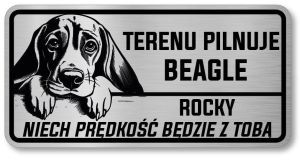 Uwaga pies tabliczka 20x10 Beagle z imieniem psa