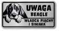 Uwaga pies tabliczka 20x10 Beagle z imieniem psa