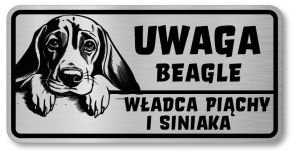 Uwaga pies tabliczka 20x10 Beagle z imieniem psa
