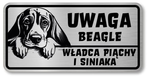 Uwaga pies tabliczka 20x10 Beagle z imieniem psa