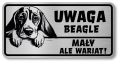 Uwaga pies tabliczka 20x10 Beagle z imieniem psa