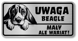 Uwaga pies tabliczka 20x10 Beagle z imieniem psa