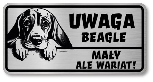 Uwaga pies tabliczka 20x10 Beagle z imieniem psa