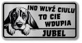 Uwaga pies tabliczka 20x10 Beagle z imieniem psa