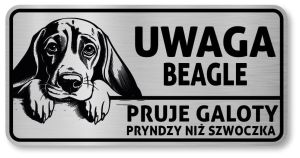 Uwaga pies tabliczka 20x10 Beagle z imieniem psa
