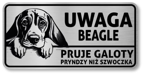 Uwaga pies tabliczka 20x10 Beagle z imieniem psa