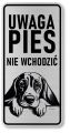 Uwaga pies tabliczka 20x10 Beagle z imieniem psa