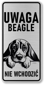 Uwaga pies tabliczka 20x10 Beagle z imieniem psa