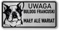 Tabliczka ostrzegawcza - Uwaga pies BULDOG FRANCUSKI śmieszna